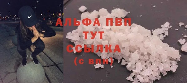 стаф Вяземский