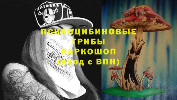 ПСИЛОЦИБИНОВЫЕ ГРИБЫ Горняк