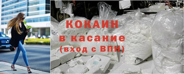 стаф Вяземский