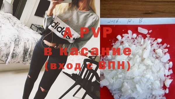 стаф Вяземский