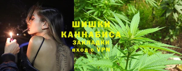 молекула духа Вязьма