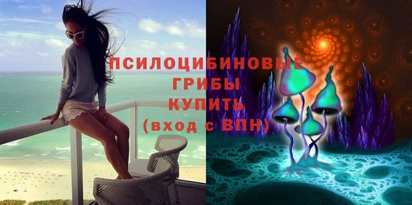 стаф Вяземский