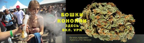 ПСИЛОЦИБИНОВЫЕ ГРИБЫ Горняк