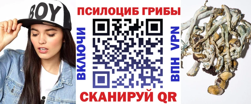 Купить  Ленск  Псилоцибиновые грибы Cubensis 